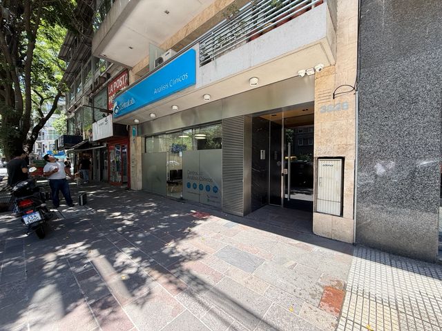 place photo 19