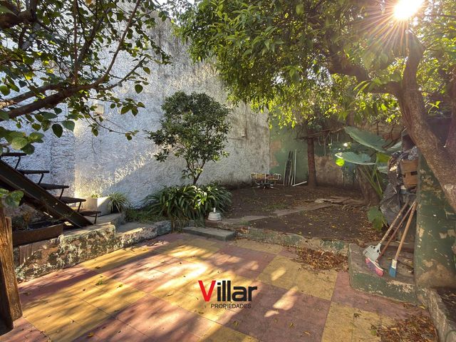 place photo 34