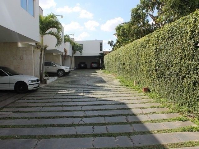 place photo 16