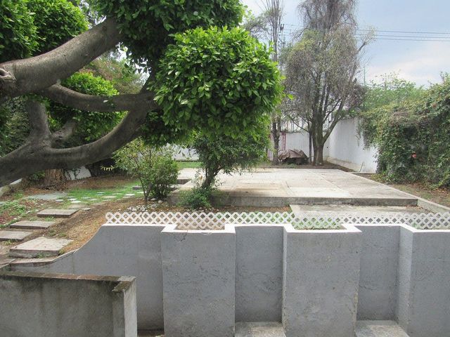 place photo 23
