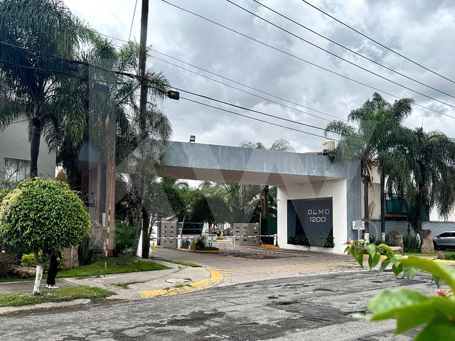 place photo 19