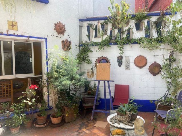 place photo 14