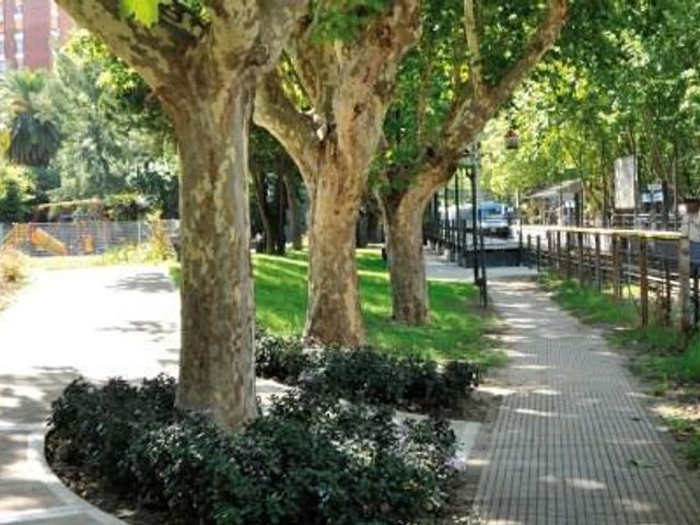 place photo 19