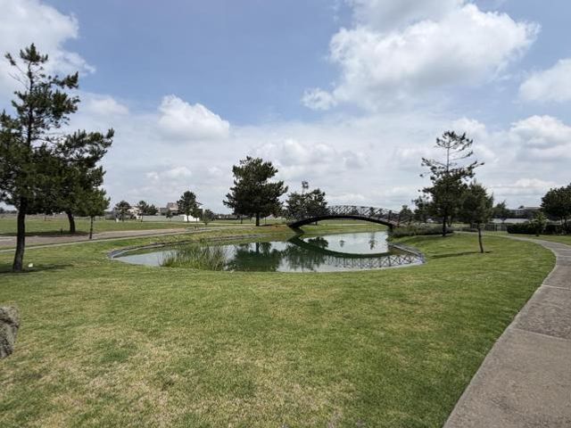 place photo 8