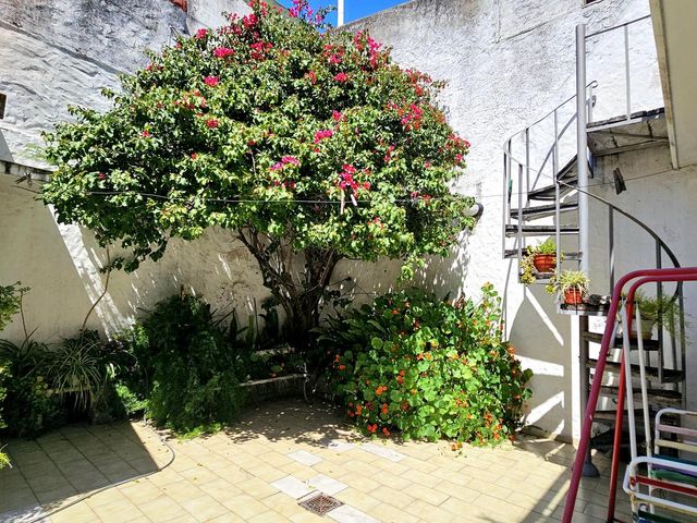 place photo 56