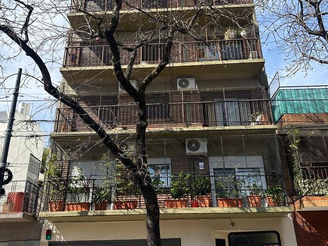 place photo 16