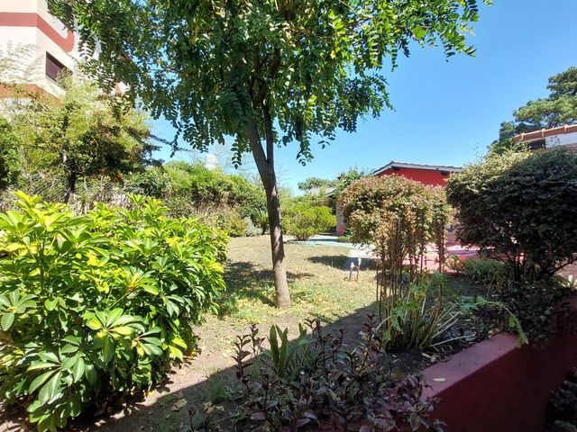 place photo 46