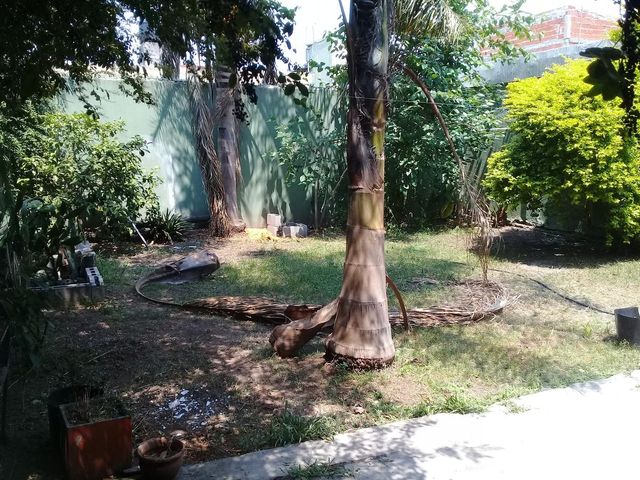 place photo 12