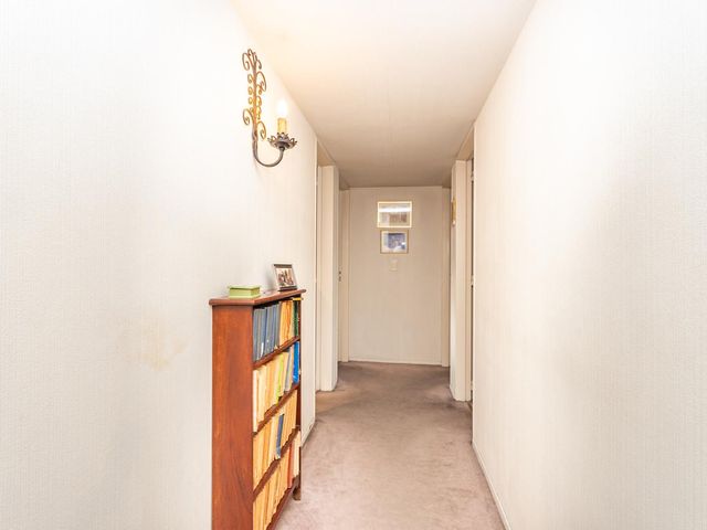 place photo 49