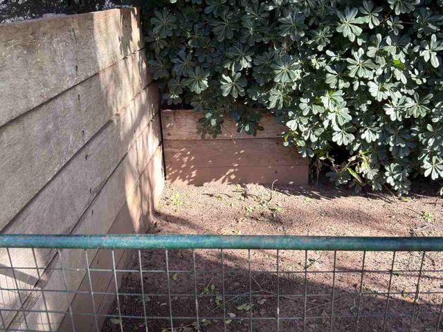 place photo 35