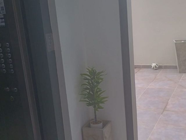 place photo 48