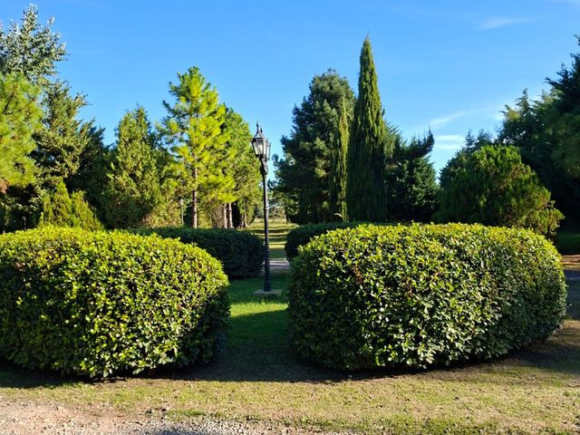 place photo 42