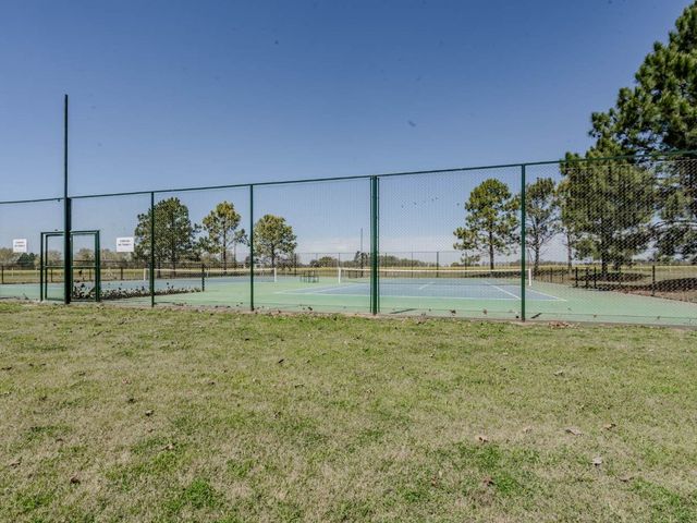 place photo 49