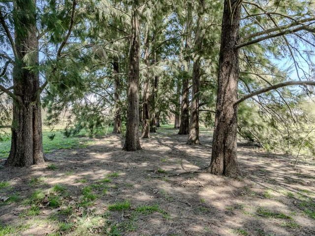 place photo 41