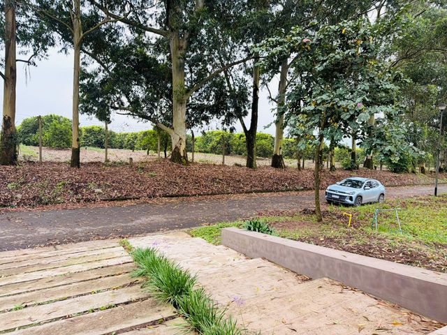 place photo 46