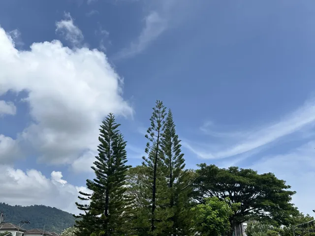 place photo 36