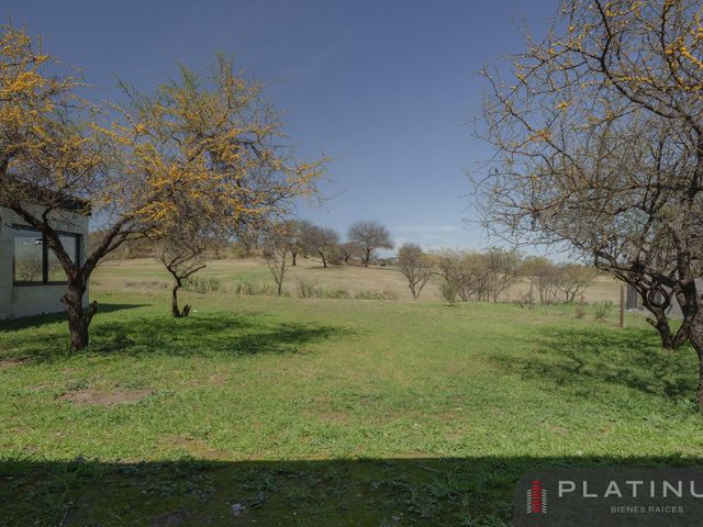 place photo 36
