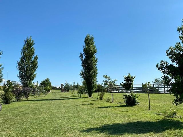 place photo 31