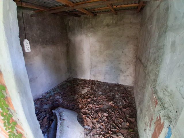 place photo 31