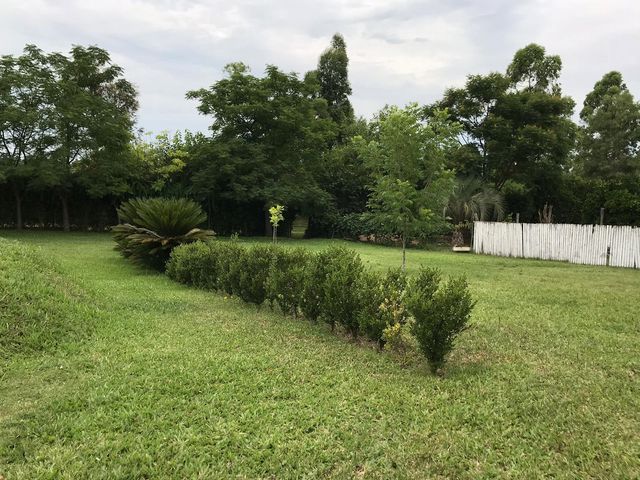 place photo 43