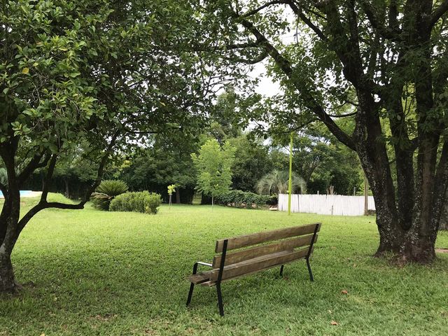 place photo 44