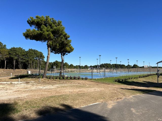 place photo 29