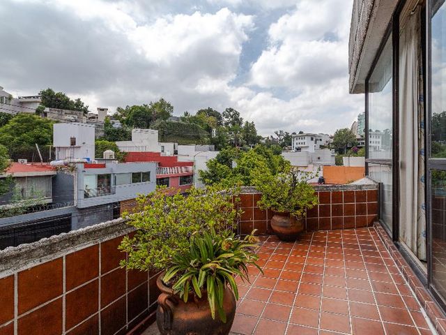 place photo 46