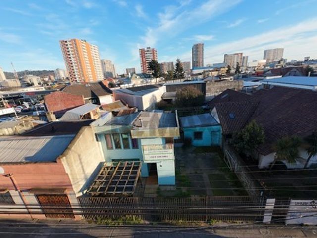 place photo 17