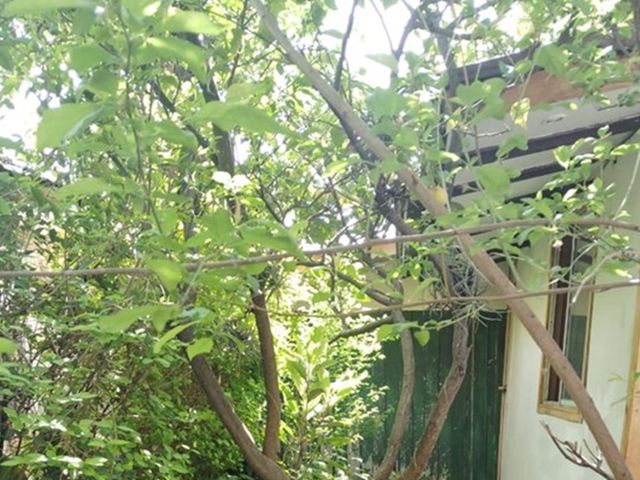 place photo 11