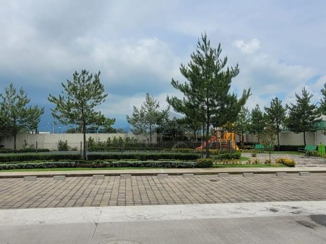 place photo 28