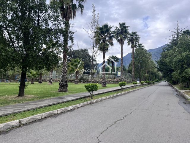 place photo 25