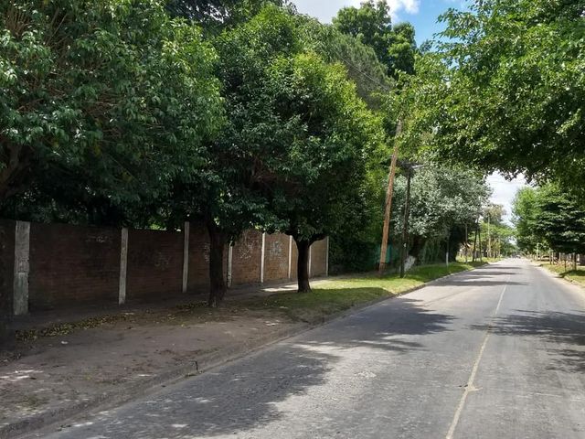 place photo 12