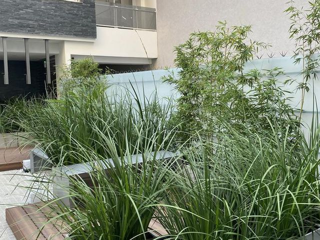 place photo 29
