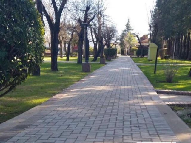 place photo 37