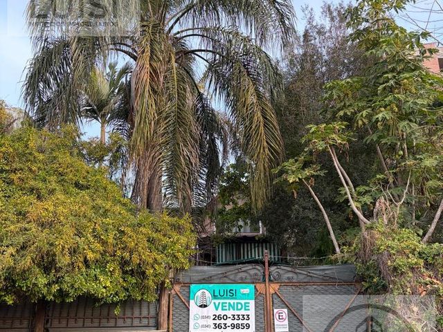 place photo 36