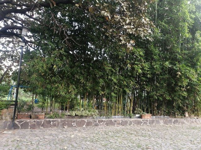 place photo 17