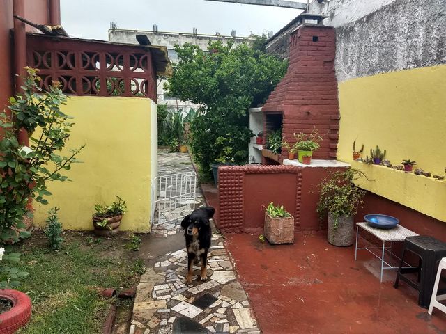 place photo 15