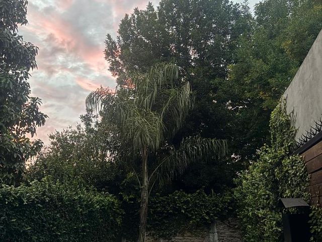place photo 43
