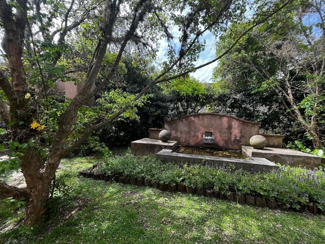place photo 31