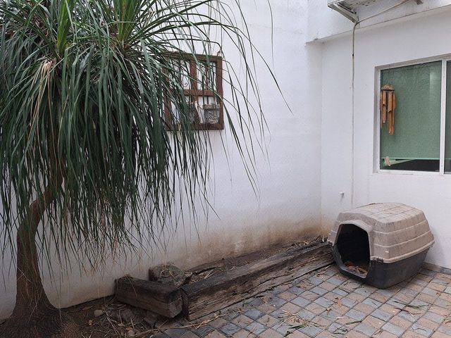 place photo 22