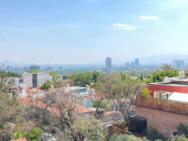 place photo 40