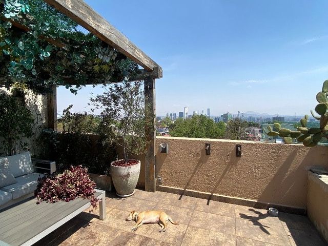 place photo 41