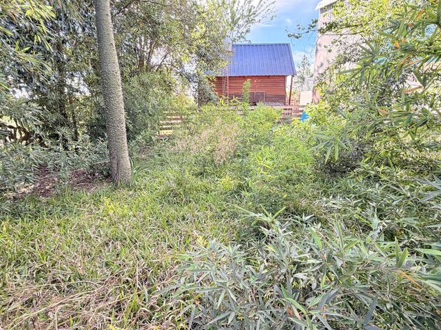 place photo 31