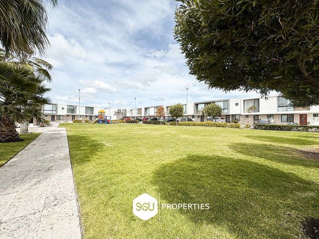 place photo 40