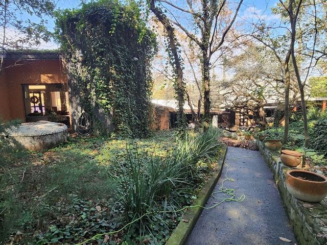 place photo 24