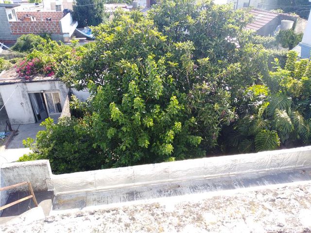 place photo 37