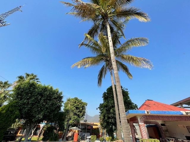 place photo 23