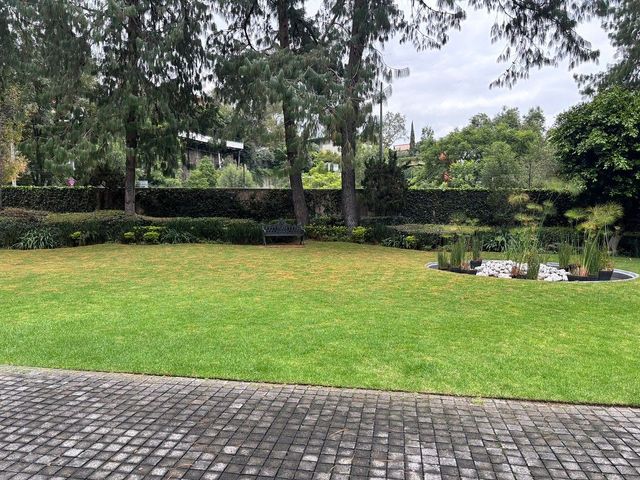 place photo 42