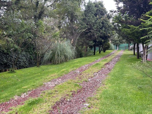 place photo 39