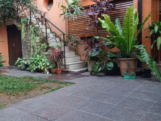 place photo 25